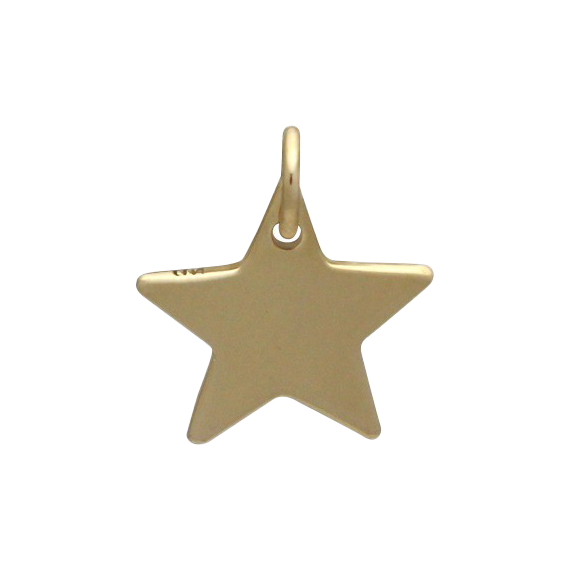 Star Charm Bronze