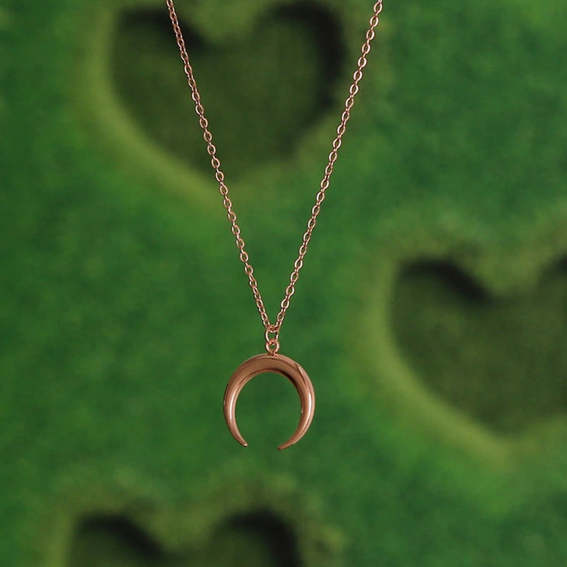 Crescent Moon Necklace.